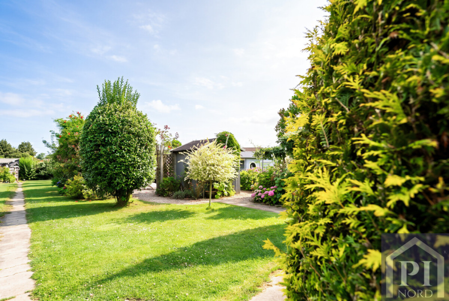 Blick in den Garten