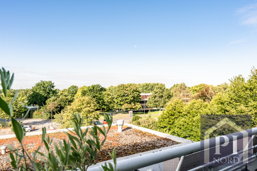 Blick ins Grüne