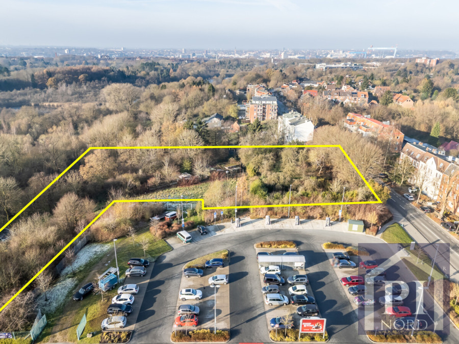 19Zwischen Parkplatz und Mehrfamilienhaus